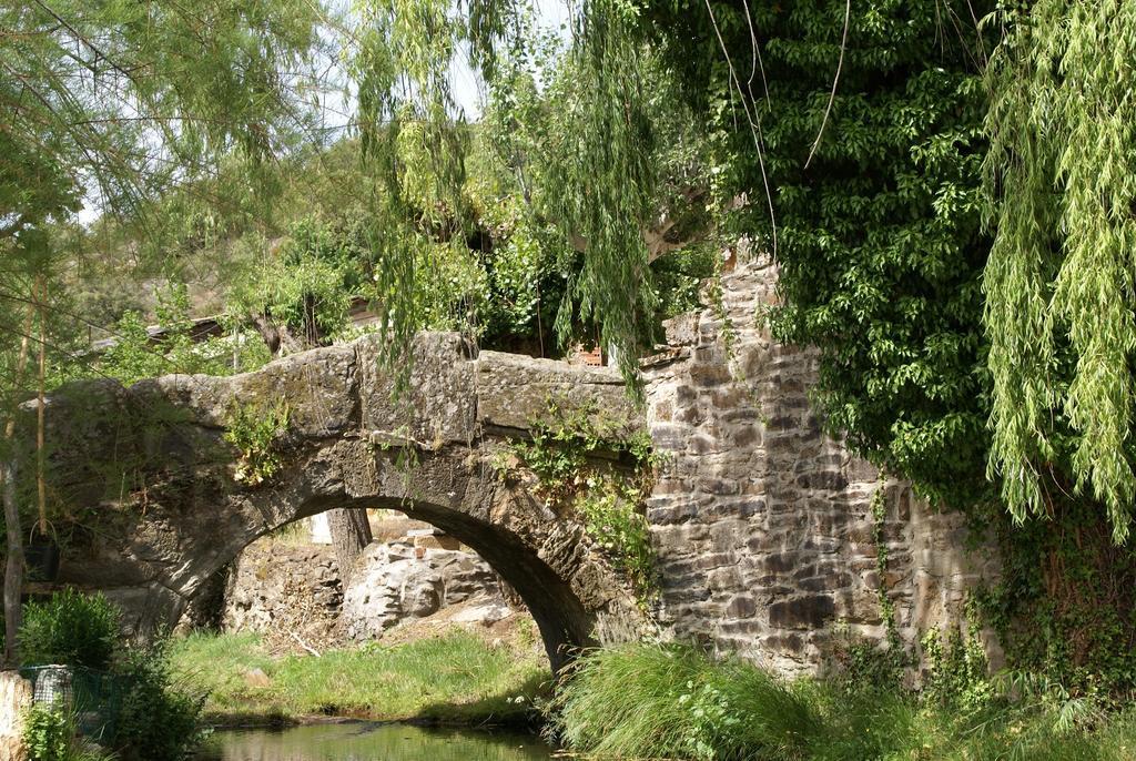 El Molino De Losacio Dış mekan fotoğraf